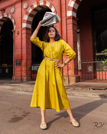 V-PLACKET DETAIL DRESS WITH SLEEVES